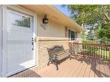 2313 Farisita Dr - Photo 5