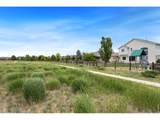 8665 Blackwood Dr - Photo 36