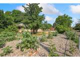 1806 Del Norte Ave - Photo 23