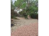 3659 Butternut Dr - Photo 8