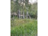 401 Blackfoot Rd - Photo 24