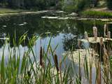3414 Pond View Dr - Photo 11