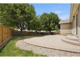 328 Brittlebush Dr - Photo 30