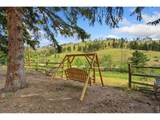 12743 Rist Canyon Rd - Photo 31