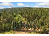 12743 Rist Canyon Rd - Photo 43