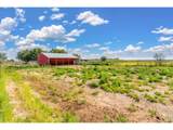 2700 County Road 59 - Photo 41
