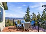 33090 Janelle Cir - Photo 29