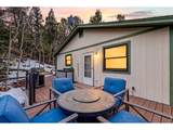 33090 Janelle Cir - Photo 30