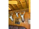 31720 Poudre Canyon Rd - Photo 8
