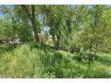 4804 Foothills Dr - Photo 6