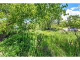 4804 Foothills Dr - Photo 8