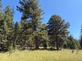  Pratt Creek Rd - Photo 11