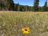  Pratt Creek Rd - Photo 12