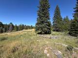 Pratt Creek Rd - Photo 14