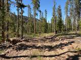  Pratt Creek Rd - Photo 6