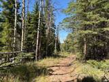 Pratt Creek Rd - Photo 9