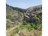 693 Cougar Dr - Photo 43