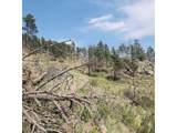 693 Cougar Dr - Photo 44