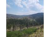 693 Cougar Dr - Photo 48