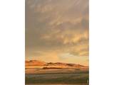 4985 Goya Ct - Photo 46