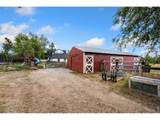 3520 Wild Bird Dr - Photo 41