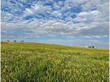 3259 County Road 80 - Photo 47