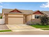 928 Barasingha St - Photo 1