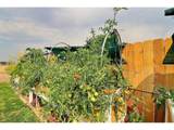 204 River Rd - Photo 45