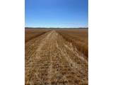0 Wcr 23 - Photo 8