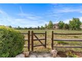 8270 Cherry Blossom Dr - Photo 42