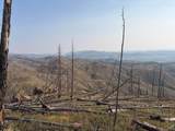 0 Pine Acres Rd - Photo 12