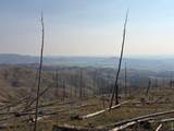 0 Pine Acres Rd - Photo 13