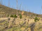 0 Pine Acres Rd - Photo 2
