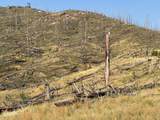 0 Pine Acres Rd - Photo 23