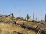 0 Pine Acres Rd - Photo 3