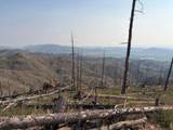 0 Pine Acres Rd - Photo 8