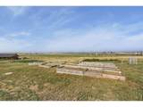 14450 County Road 9 - Photo 27