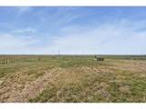 14450 County Road 9 - Photo 28