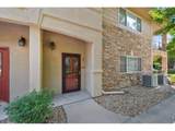 1703 Whitehall Dr - Photo 5