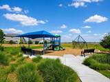 6580 Snow Bank Dr - Photo 49