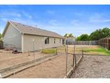 3937 Stampede Dr - Photo 34