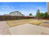 3937 Stampede Dr - Photo 39