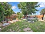 315 7th Ave - Photo 16
