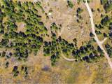 2721 Davis Ranch Rd - Photo 26