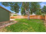 1917 Enfield Ct - Photo 39