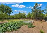1269 Winslow Cir - Photo 42