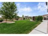 897 Shade Tree Dr - Photo 26