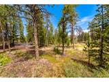 27 Tewa Ct - Photo 34