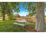4014 Carrick Rd - Photo 33