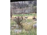 44174 Poudre Canyon Rd - Photo 47